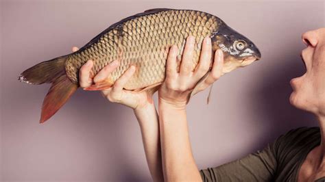 kunstleder riecht nach fisch